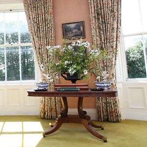 King Room Garden View