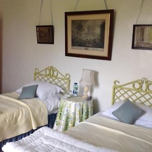 Twin Room Garden View